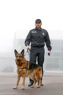 Police dog cropped